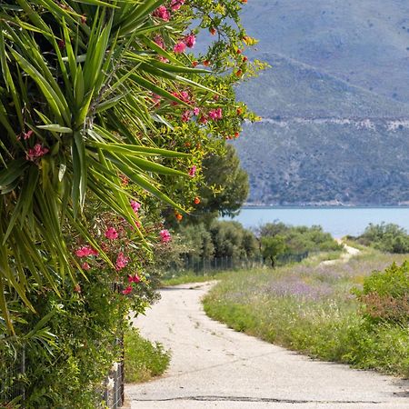 Sea & Olives House Villa Lixouri Dış mekan fotoğraf