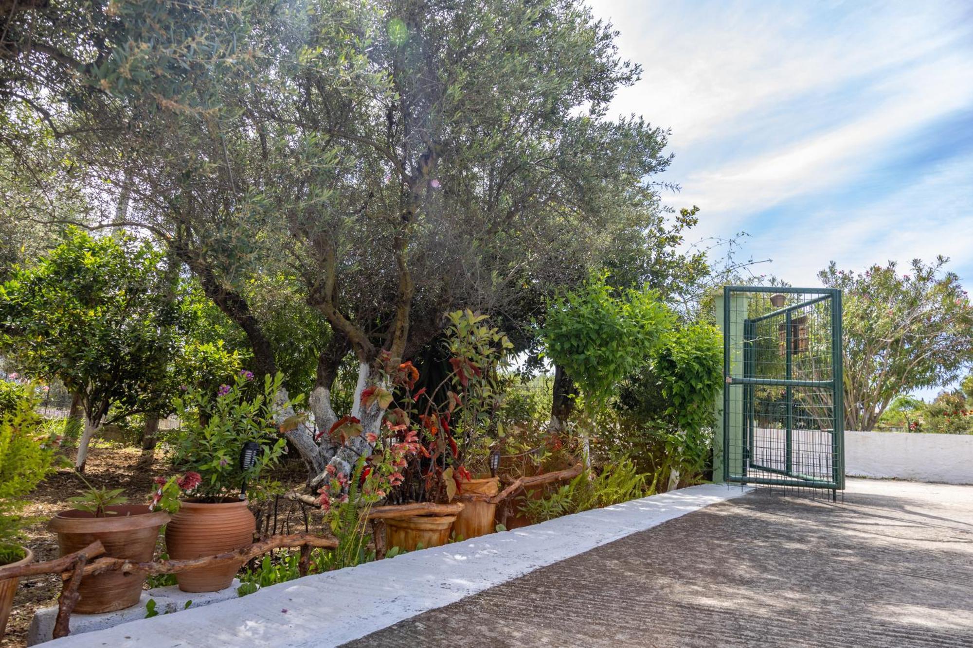 Sea & Olives House Villa Lixouri Dış mekan fotoğraf