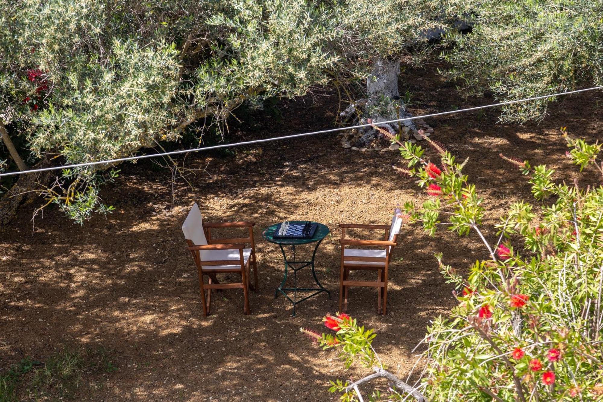 Sea & Olives House Villa Lixouri Dış mekan fotoğraf