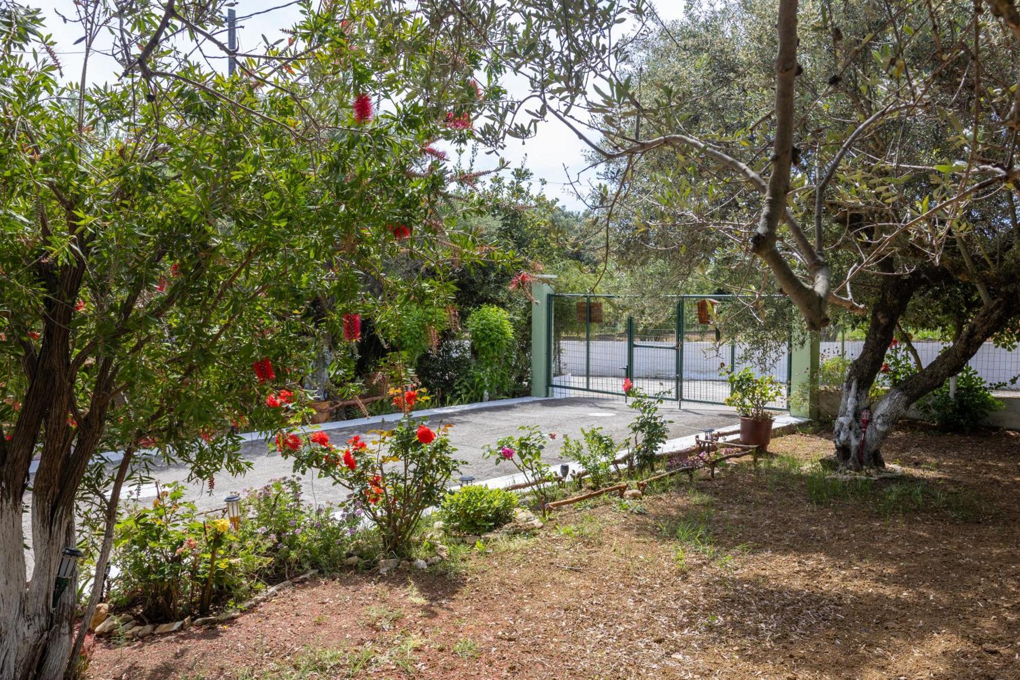 Sea & Olives House Villa Lixouri Dış mekan fotoğraf